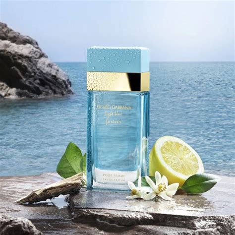 dolce & gabbana light blue ingredients